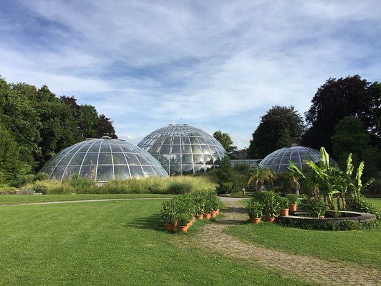 Botanische Tuin